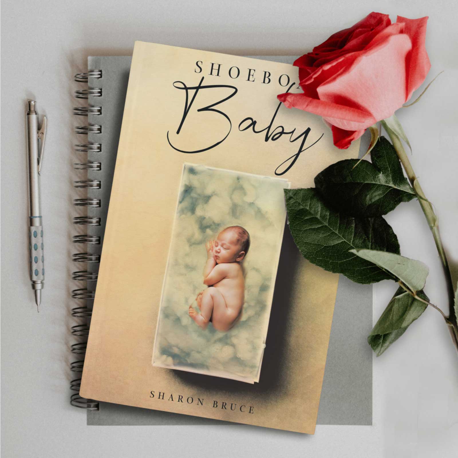 Shoebox Baby Book by Author Sharon Bruce